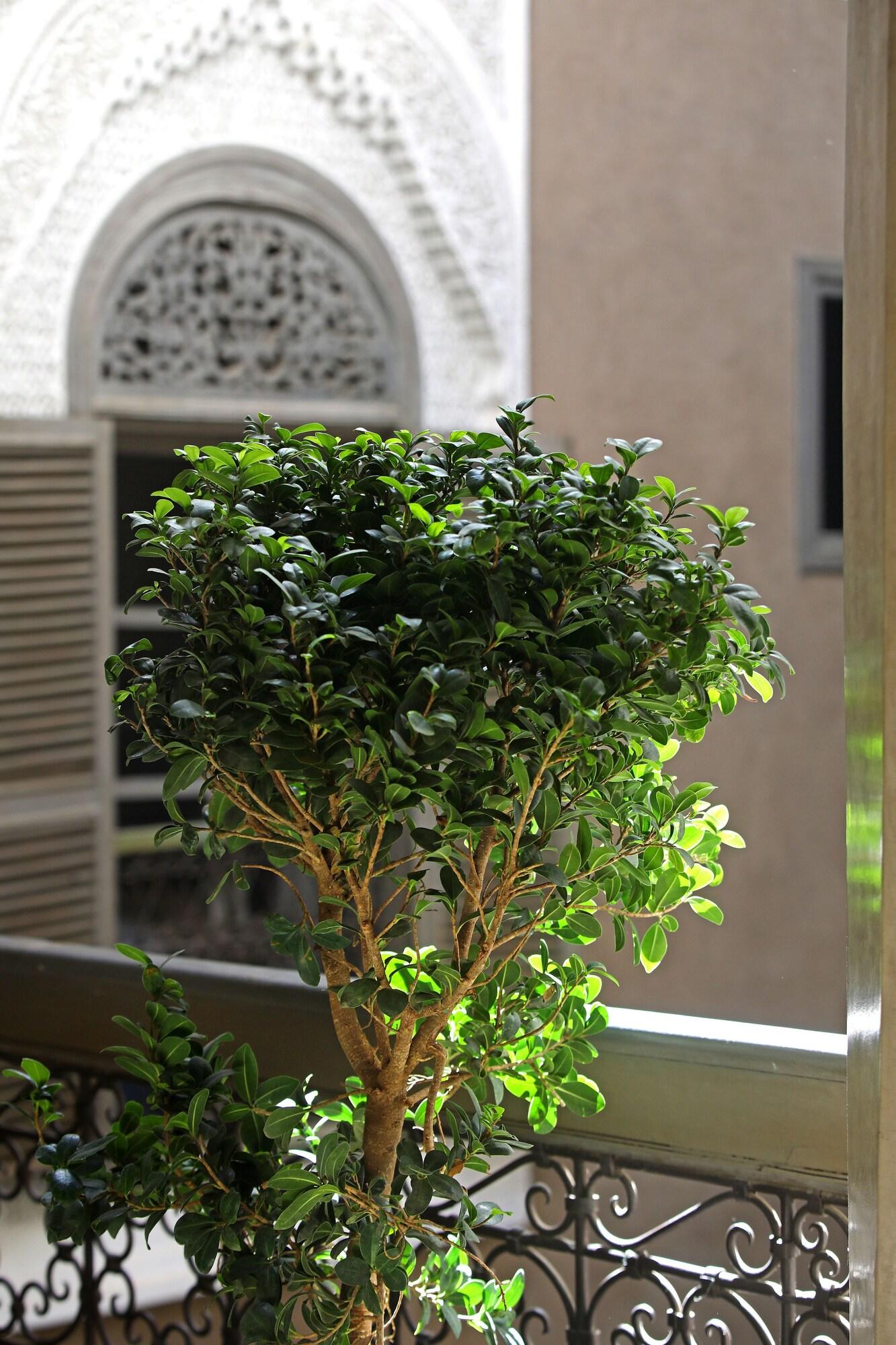 Riad Dar One Marrakesh Exterior photo